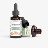 GlycoSteady™ Blood Sugar Tincture