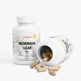 Moringa Leaf
